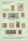 Delcampe - Wood - Specialised Award Winning Stamp Collection - Ready To Exhibit - Other & Unclassified