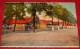 LEOPOLDSBURG - Lot De 4 Cartes : Camp De Beverloo : Logement Troupes, Baraques , Plaine De Jeux, Monument Des Mexicains - Leopoldsburg (Kamp Van Beverloo)