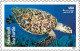 USA 2024 Protect Sea Turtles,Oilve Ridley,Animal, Perforated ,Set Of 6v, MNH (**) - Ungebraucht