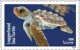 USA 2024 Protect Sea Turtles,Oilve Ridley,Animal, Perforated ,Set Of 6v, MNH (**) - Nuovi
