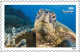 Delcampe - USA 2024 Protect Sea Turtles,Oilve Ridley,Animal, Perforated ,Set Of 6v, MNH (**) - Nuevos