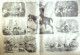 Le Journal Illustré 1865 N°65 Bayeux (14) Maroc Djurdjura Bit-El-Ma Miedjelès Fantasia Amins - 1850 - 1899