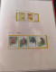 Delcampe - China 2002 Horse Complete Year Stamp Collection,including All Full Set Stamps & S/S - Unused Stamps