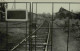 Reproduction - MoselbahnTrier, 1967 - Treinen