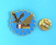 Delcampe - 1 PIN'S //   ** EXERCICE INTERALLIÉ / FRANCO \ ALLEMAND / COLIBRI 30 ** . (J.Y. Ségalen Collection) - Militaria