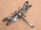 Bijoux-broche_43_Libellule-Dragonfly-Libelle -  Marcassite Et Argent - Broschen