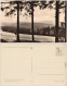 Bärenstein Altenberg (Erzgebirge) Panorama, Blick Vom Bärenstein    1959 - Bärenstein