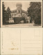 Ansichtskarte Potsdam Wildpark - Haupteingang 1924 - Potsdam
