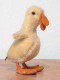 Peluche 131_ Canard, Ente, Duck, Eend -poussin-canneton_steiff - Steiff