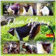 Ghana 3896/901 Et Bf 591 Singes Diana - Mono