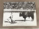 Photo De Corrida (mauvais état) / Photo - George / Arles En Provence / Tauromachie - Zonder Classificatie