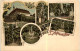 Gruss Aus Park Lichtenwalde - Litho - Niederwiesa