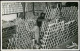 60s REAL PHOTO POSTCARD SIZE FOTO KITCHEN POTS SAUCEPOTS WAREHOUSE ARMAZEM PANELAS INOX ANGOLA  AFRICA AFRIQUE AT111 - Afrique