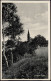 Ansichtskarte Dahlen Blick Vom Hang Auf Die Kirche 1937 - Dahlen