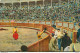 CPA Corrida De Toros-Le Brindis      L1403 - Corrida