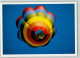 39170807 - Foto G. Eich Verlag Weidelsburg  Kassel AK - Fesselballons