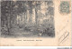 CAR-AAUP2-95-0141 - FRANCE - VIARMES - Foret De Carmelle - Sous Bois - Viarmes