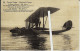 E.P. N° 95 CONGO BELGE - La Ligne Aérienne "Roi Albert" - Hydravion Partant De GOMBE (Equateur) (Ligne Blanche Fictive) - 1919-1938