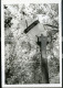 1983 ORIGINAL AMATEUR PHOTO FOTO GARDEN LAMP CANDEEIRO PORTUGAL AT226 - Objets