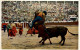 Corrida De Toros - Stierkampf - Corrida