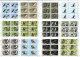 Rarotonga A Set Of 12 MNH Minisheets Of 6 Stamps Together - Eagles & Birds Of Prey