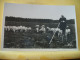 Delcampe - 40 3618 LOT N° 3 DE 15 CPA DIFFERENTES SUR  LES BERGERS ET MOUTONS DANS LES LANDES - Elevage