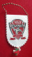 Pennant Handball Club VESZPREM 1977 Hungary Size 7x11cm - Handball