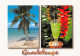 97 Guadeloupe  Cocktail (Scan R/V) N°   46   \PB1111 - Pointe A Pitre