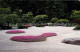 73061448 Portland_Oregon Flat Garden With Dianthus Tiny Rubies - Altri & Non Classificati