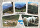 Delcampe - Carton De 7,620 Kilos De Cartes Postales Principalement France , Modernes Et Semi Modernes. - 500 CP Min.