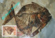 LIBYA 1996 Fossils "Mene Rhombea" Fishes (maximum-card) #1 - Fossilien