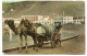 YEMEN CPA Couleur Voyagé 1908 * ADEN Water Car ( Voiture à Eau Chameau ) Voyagé * I. Benghiat Son Aden - Yemen