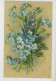Illustrateur CATHARINA KLEiN - Jolie Carte Fantaisie Bouquet De Fleurs  Myosotis - Klein, Catharina