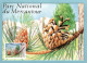 Carte Maximum Monaco 1991 - National Du Mercantour - Conifères - Pin à Crochets - YT 1801 - Cartoline Maximum