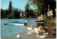 Le Lac D'ANNECY  Promenade En Famille SS 1372 - Annecy