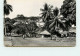 GUINEE   CONAKRY  Cases Indigènes Sur La Corniche TT 1430 - French Guinea