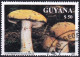 T.-P. Dentelé Oblitéré - Champignons Cortinaire à Pied Glauque Cortinarius Glaucopus - N° 3682 (Michel) - Guyana 1991 - Guyana (1966-...)