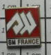 912b Pin's Pins / Beau Et Rare / MARQUES / SM FRANCE - Marques