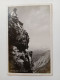 D202620    AK CPA -    Hindelang, Edelweißsucher In Den Hochalpen -Bayern  1929  FOTO-AK - Hindelang