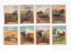 Lot X 8 Chromos  Les Travaux De La Ferme  55 X 45 Mm Bien Cafés Gilbert  2 Scans - Thé & Café