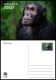 TOGO 2024 STATIONERY CARD - REGULAR - CHIMPANZEE MONKEY MONKEYS APES - BIODIVERSITY BIODIVERSITE - Chimpansees