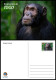 TOGO 2024 STATIONERY CARD - REGULAR - CHIMPANZEE MONKEY MONKEYS APES - BIODIVERSITY BIODIVERSITE - Chimpanzés