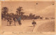 26930 " BENGASI-LA VIA DI DRIANA COL PALMETO DEI SABRI " ANIMATA-VERA FOTOCART.POST.  SPED.1925 - Libya