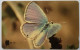 Oman 5 Omani Riyal GPT 34OMNX - Mediterranean  Pierrot ( Butterfly ) - Oman