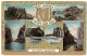Irland, Best Wishes From Ireland, 1908 V. Maghera Gebr. Mehrbild Farb-AK - Storia Postale