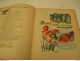 QUELQUES FABLES De LA FONTAINE  Illustrations  De  A. JOURCIN - Format 22 Cm Par 27 - 1901-1940