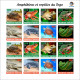 TOGO 2024 PACK 6 MS IMPERF - REG & OVERPRINT - AMPHIBIANS & REPTILES - FROG FROGS TURTLE TURTLES SNAKES CROCODILE - MNH - Schildkröten