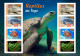 Delcampe - TOGO 2024 PACK 6 MS IMPERF - REG & OVERPRINT - AMPHIBIANS & REPTILES - FROG FROGS TURTLE TURTLES SNAKES CROCODILE - MNH - Schildkröten