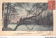 AGQP8-0622-92 - Le Bois De BOULOGNE En Automne - Le Grand Lac  - Boulogne Billancourt