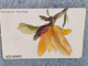 GERMANY-1111 - O 0749 - Mein Schöner Garten Nr.4 - Magnolia Acuminata - 4.000ex. - O-Series : Séries Client